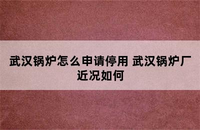 武汉锅炉怎么申请停用 武汉锅炉厂近况如何